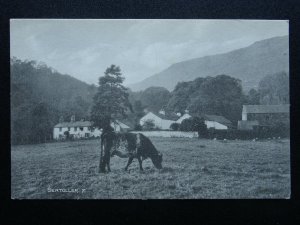 Cumbria Borrowdale SEATOLLER - Old Postcard by H. Mayson's