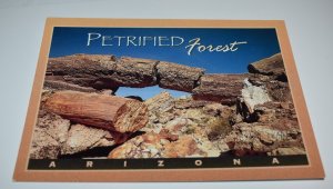 Petrified Forest Arizona Postcard Smith-Southwestern Inc. 1784