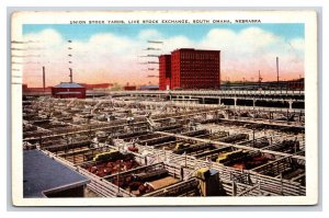 Union Stock Yards Live Stock Exchange Omaha Nebraska NE WB Postcard F21