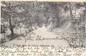 Carlisle Pennsylvania Mt Holly Main Path Antique Postcard K63213