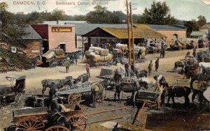 Camden South Carolina Stedmans Cotton Platform Vintage Postcard AA110455