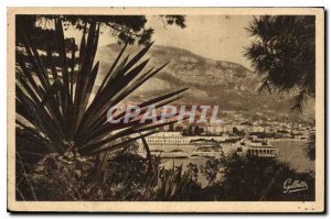 Old Postcard Monte Carlo Entree Trees