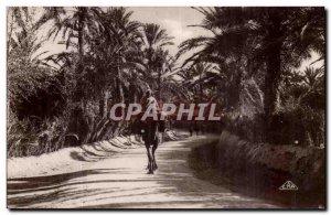 Algeria Old Postcard Scenes and Types Road in & # 39oasis