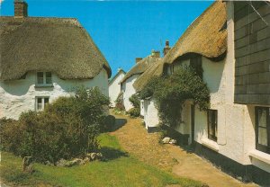 uk43191 devon cottages inner hope hope cove uk