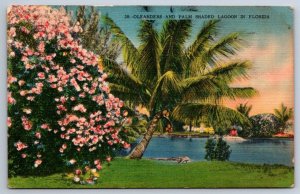 Oleanders And Palm, Shaded Lagoon, Florida, Vintage 1955 Hartman Linen Postcard