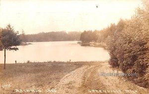 Baldwin Lake in Greenville, Michigan