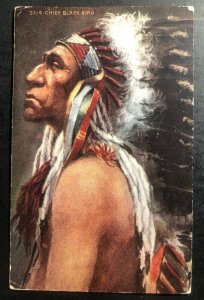 Mint Picture Postcard Native American Indian Cover Chief Black Bird