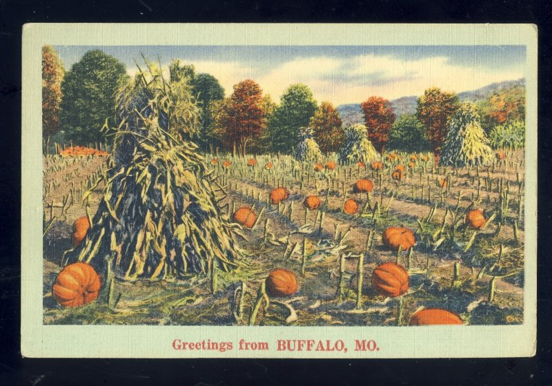 Buffalo, Missouri/MO Postcard, Giant Pumpkins In Field Ready For Harvest