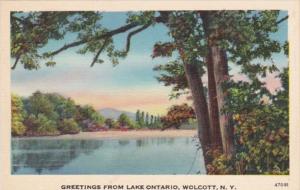 New York Greetings From Lake Ontario Wolcott