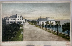 1904 The Sea Wall St Augustine FL Detroit Photographic Co. No. 8205 Postcard