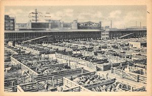 Swift and Company Chicago plant Chicago, Illinois, USA Stock Yard 1938 