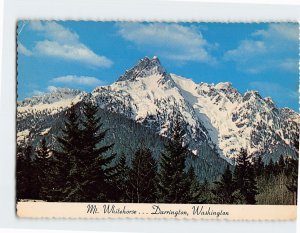 Postcard Mt. Whitehorse . . . Darrington, Washington