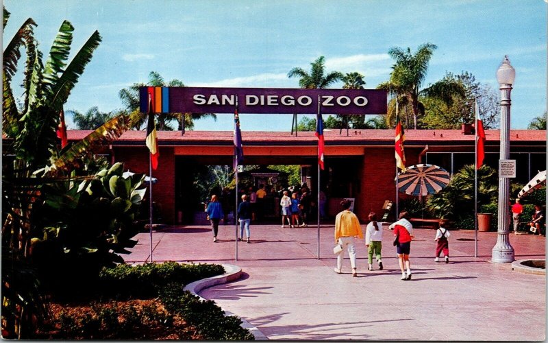 San Diego Zoo Entrance CA California Postcard Mike Roberts VTG UNP Vintage 