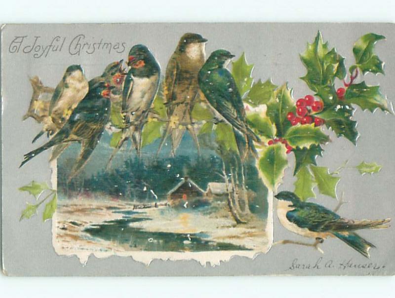 Pre-1907 christmas BEAUTIFUL BIRDS SITTING ON HOLLY BRANCH k0823