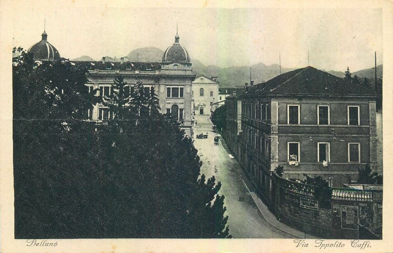 Italy Belluno Via Ippolito Caffi vintage Postcard