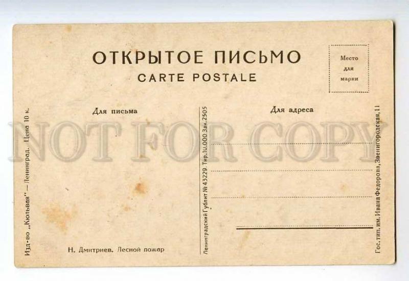 249728 Russia Dmitriev Wildfire Vintage Fedorov postcard