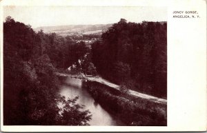 Vtg 1907 Joncy Gorge Bridge Angelica New York NY Antique Postcard