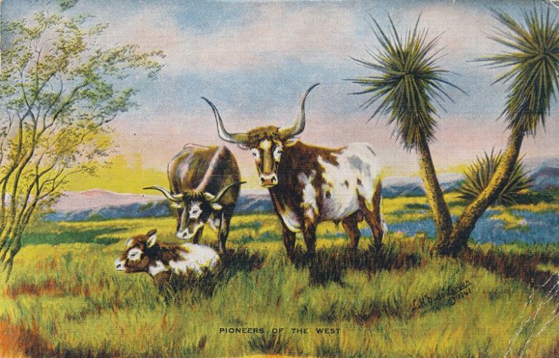 Pioneers of the West - Texas Longhorns - Artist: Dude Larsen - pm 1947 - Linen