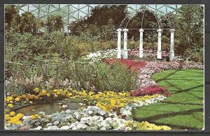 Wisconsin, Milwaukee - Flowers - Conservatory - County Park - [WI-131]