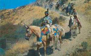 Indians on the Trail, unused Postcard