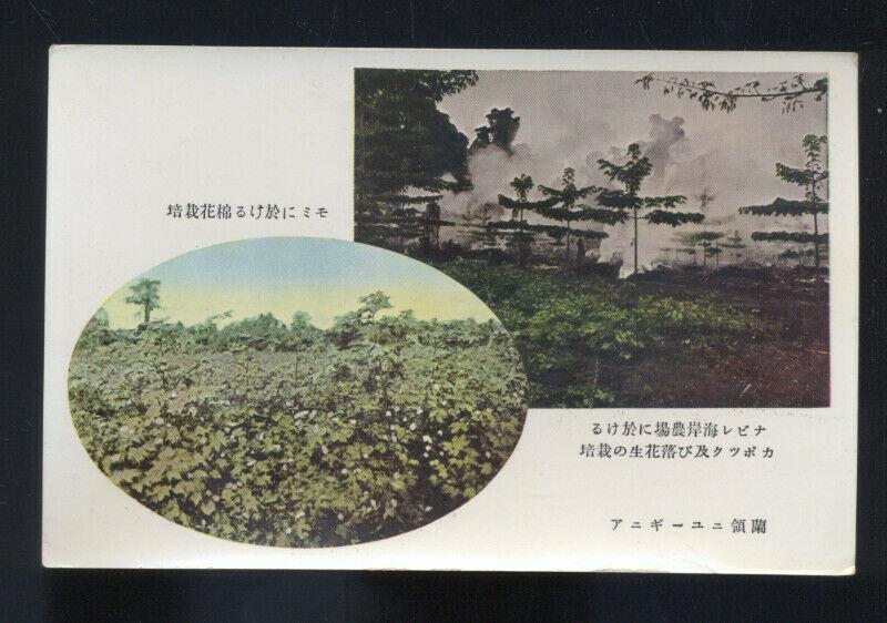 HSINKING CHINA CHINESE FARMING FARM VINTAGE CHINESE POSTCARD