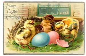Greeting - Easter. Chicks. Tuck Series 705