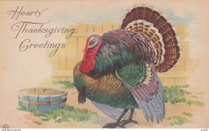 THANKSGIVING ; Turkey , 00-10s ; #3