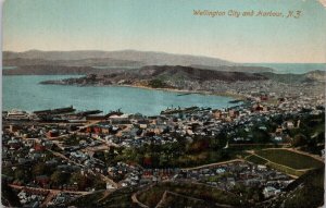 Wellington City and Harbour NZ New Zealand Birdseye Dragon Series Postcard H47