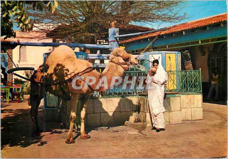 Modern Postcard stamps southern Tunisia  Africa - Algeria - Other,  Postcard / HipPostcard