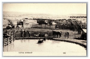 Postcard Cattle Round-Up Cowboys Horses Old Trucks And Car