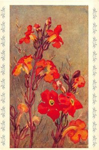 SCARLET HARVEYA FLOWER SOUTH AFRICA POSTCARD