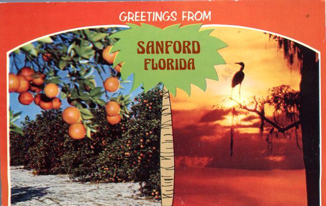 Greetings from Sanford FL, Florida - Oranges from Sunny Florida - pm 1980