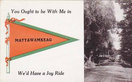 You Ought To Be With Me In Mattawamkeag Pennant Flag