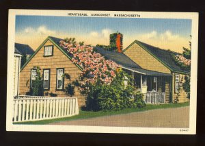 Siasconset, Nantucket, Massachusetts/MA Postcard, Heartsease, Cape Cod