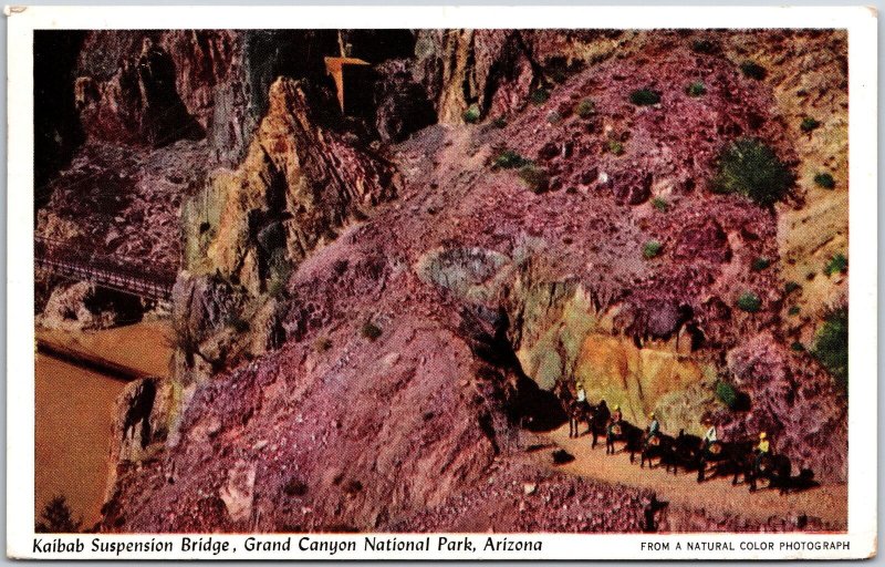 Arizona AZ, Grand Canyon National Park, 1950 Kaibab Suspension Bridge, Postcard