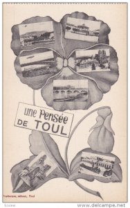 TOUL , France , 00-10s ; Pansy Flower Multiview