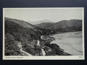 Wales BARMOUTH Dolgelley Road Old Postcard by J. Salmon 2638