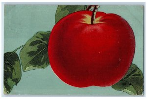 1910 The Apple Annual Watsonville Pajaro Valley Santa Cruz CA Antique Postcard