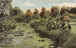 Lily Pond Tower Grove Park Saint Louis Missouri 1911