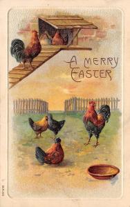 Merry Easter~Rooster in Barnyard~Hens in Chicken Coop~Embossed~Ser 323~Germany