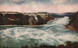 Vintage Postcard Great Whirlpool & Lower Gorge Niagara River Lake Erie-Ontario