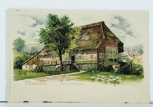 Triberg  Schwarzwaldhaus Germany 1890s Postcard J13