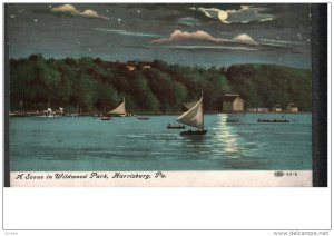 HARRISBURG, Pennsylvania, 1900-1910´s; A Scene In Wildwood Park