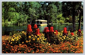 Theme Park~Silver Springs Florida~Garden Flowers~Glass Bottom Boat~1950s PC