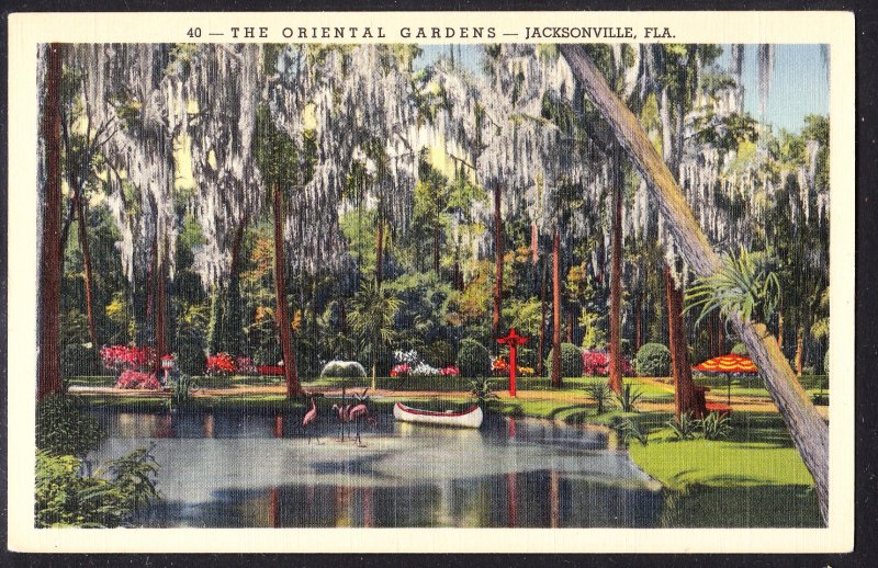 FL - Jacksonville - Oriental Gardens flamingos – Duval News card