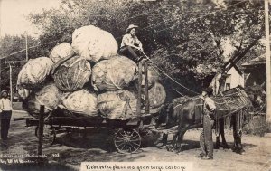 RPPC NEBRASKA CABBAGE MARTIN EXAGGERATION STUDIO REAL PHOTO POSTCARD 1910