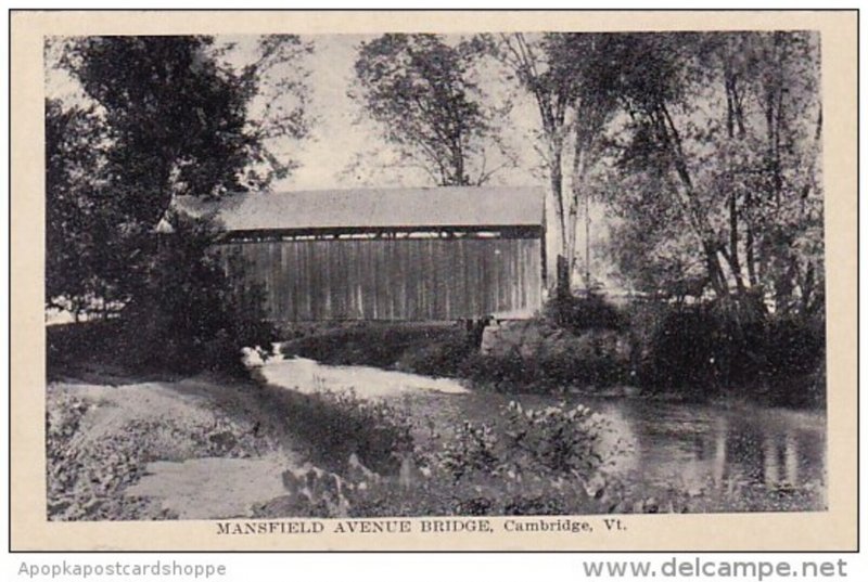 Mansfield Avenue Bridge Cambridge Vermont