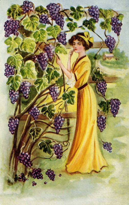 Lady in Vineyard   (Winsch back)