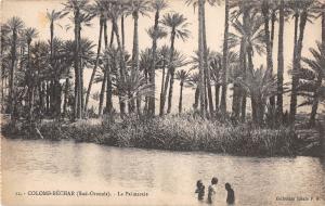 BF8880 colomb bechar sud oranais la palmeraie types algeria    Algeria