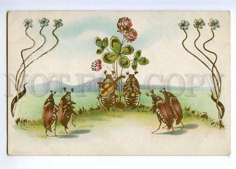 189489 Musician MAY BEETLE Golden Phyllophaga Vintage postcard